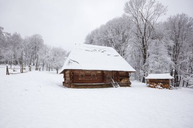 Lviv, Ukrayna - 8 Aralık 2021: Lviv 'deki Klymentii Sheptytskyi Halk Mimarisi ve Kırsal Yaşam Müzesi' ndeki Antik köy evi. Kışın Skansen