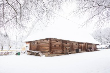 Lviv, Ukrayna - 8 Aralık 2021: Lviv 'deki Klymentii Sheptytskyi Halk Mimarisi ve Kırsal Yaşam Müzesi' ndeki Antik köy evi. Kışın Skansen