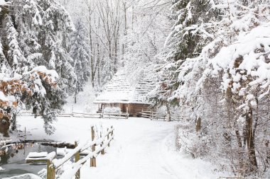 Lviv, Ukrayna - 8 Aralık 2021: Lviv 'deki Klymentii Sheptytskyi Halk Mimarisi ve Kırsal Yaşam Müzesi' ndeki Antik köy evi. Kışın Skansen