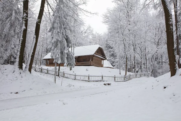Lviv Ukraine December 2021 Ancient Village House Klymentii Sheptytskyi Museum — Stock Photo, Image