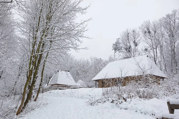 Lviv Ukraine December 2021 Ancient Village House Klymentii Sheptytskyi Museum — Stock Photo, Image