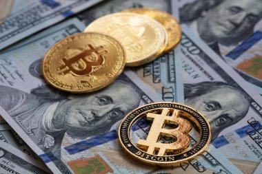 Tasarım amacı için 100 dolarlık arkaplanda Bitcoin