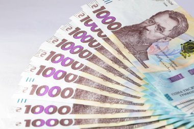 Tasarım amaçlı 1000 Hryvnias banknotunun hayranıyım.