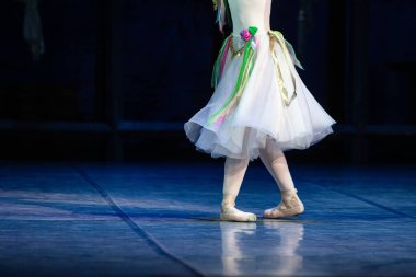 La Esmeralda balesi. Dans eden bacaklara yakın çekim. Bale duvar kağıdı