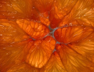 Turunçgillere yakın çekim. Citrus arkaplanı, duvar kağıdı