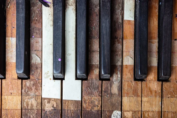 Closeup Old Abandoned Broken Purple Piano — Stock Photo, Image