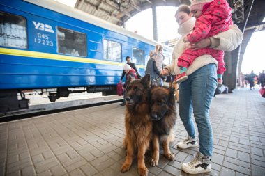Lviv, Ukrayna - 24 Mart 2022: Mariupol 'den Lviv tren istasyonuna kaçan Ukraynalı mülteciler