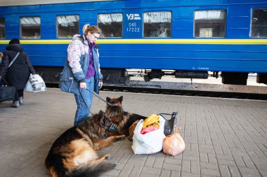 Lviv, Ukrayna - 24 Mart 2022: Mariupol 'den Lviv tren istasyonuna kaçan Ukraynalı mülteciler