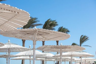 Hurghada, Mısır - 1 Ekim 2019: Mısır 'ın başkenti Hurghada' daki Jaz Casa Del Mar Resort 'ta güneşlik şemsiyeler ve güneşlik yatakları