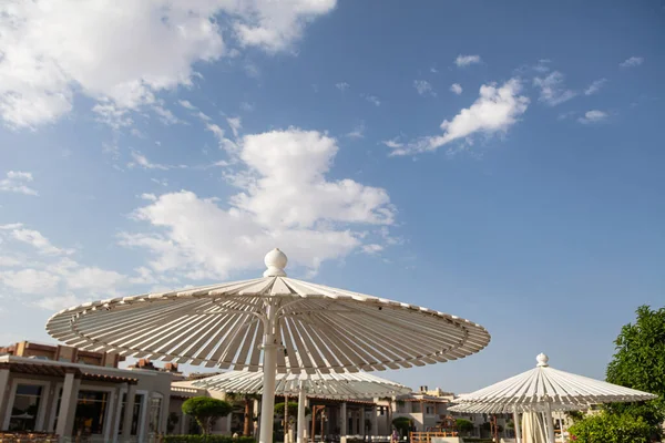 Hurghada Egipto Octubre 2019 Sombrillas Tumbonas Cerca Piscina Jaz Casa —  Fotos de Stock