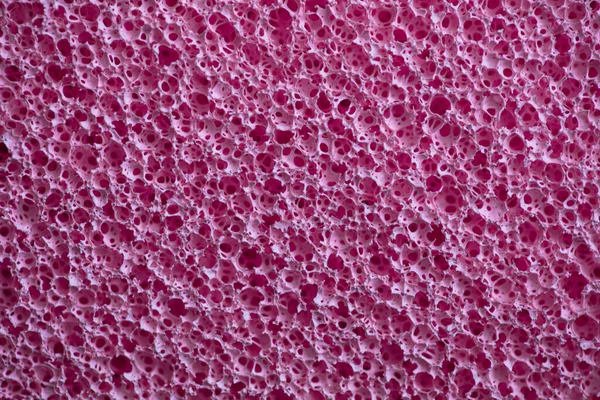 粉红海绵结构图案背景设计目的 — 图库照片