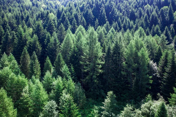 Parco Naturale Nazionale Skole Beskids Primo Piano Vista Dal Drone — Foto Stock