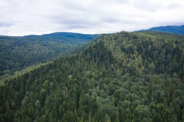Narodowy Park Przyrody Skole Beskids Widok Drona Las Góry — Zdjęcie stockowe