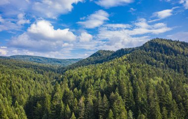 Skole Beskids Ulusal Doğa Parkı. İnsansız hava aracından ormana, dağa bak.