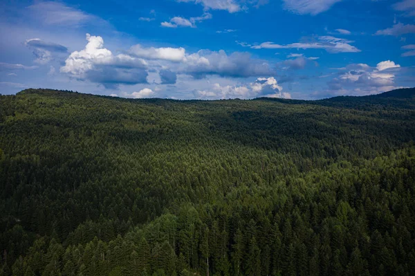 Narodowy Park Przyrody Skole Beskids Widok Drona Las Góry — Zdjęcie stockowe