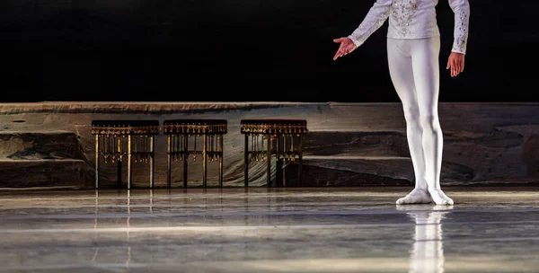 Swan Lake Ballet Closeup Ballerinas Dancing — Stock Photo, Image