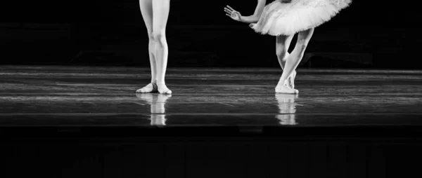 Ballet Lac Des Cygnes Gros Plan Ballerines Dansant — Photo