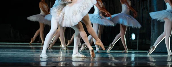 Ballet Lago Dos Cisnes Closeup Bailarinas Dançando — Fotografia de Stock