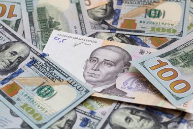 100 dolar ve 500 hryvnyas tasarım amacı için fon