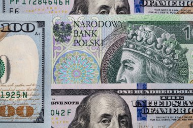 Tasarım amaçlı 100 Amerikan doları ve 100 Polonya parası.