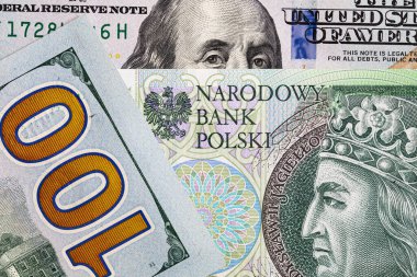 Tasarım amaçlı 100 Amerikan doları ve 100 Polonya parası.
