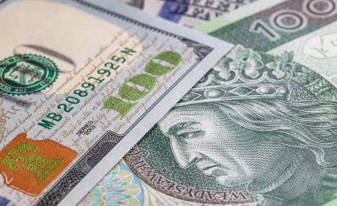 Tasarım amaçlı 100 Amerikan doları ve 100 Polonya parası.