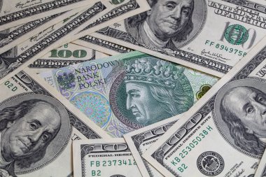Tasarım amaçlı 100 Amerikan doları ve 100 Polonya parası.