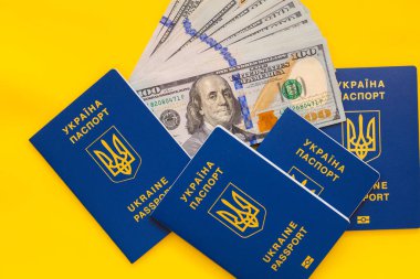 Ukrayna pasaportu ve sarı arka planda 100 dolarlık banknotlar.