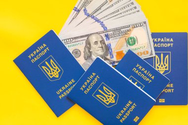 Ukrayna pasaportu ve sarı arka planda 100 dolarlık banknotlar.