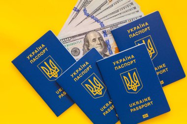 Ukrayna pasaportu ve sarı arka planda 100 dolarlık banknotlar.