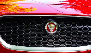 Lviv, Ukrayna - 30 Haziran 2019: Jaguar I-Pace logosu