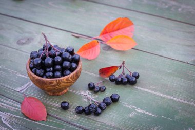 Aronia üzümü, yaygın olarak siyah meyveli dağ külü olarak bilinir, ahşap arka planda yaprakları vardır. Masada taze toplanmış ev yapımı Aronia meyveleri var..