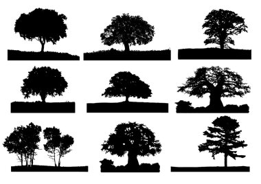 ağaçlar siluet 004