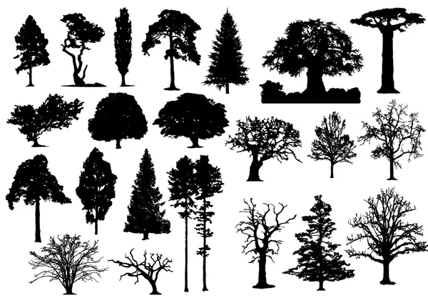 Sagoma degli alberi 002 — Vettoriale Stock