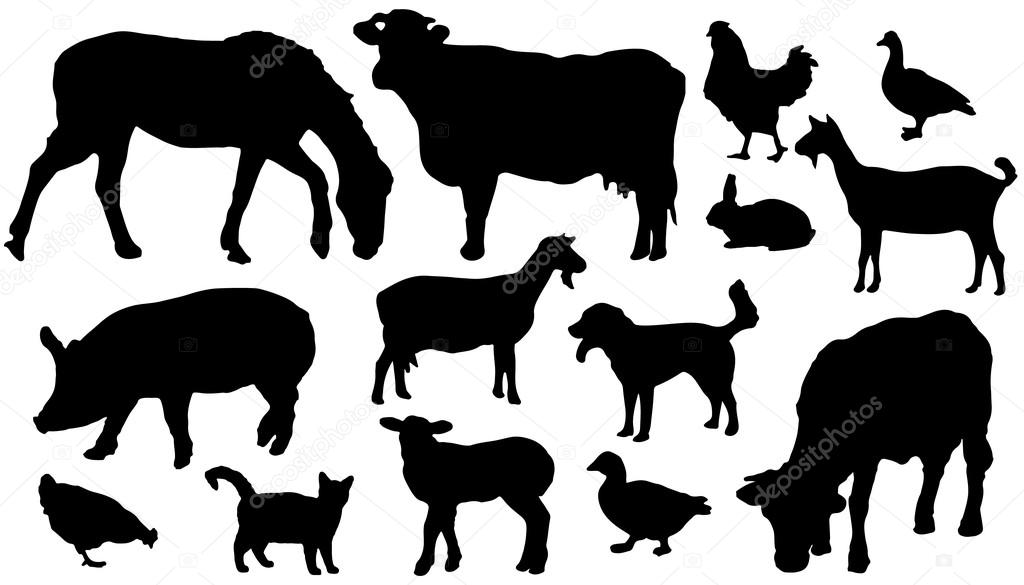 Fourteen farm animals silhouettes on the white background