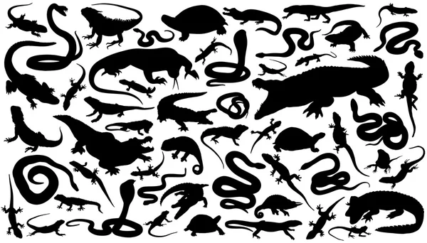 Reptielen silhouetten — Stockvector