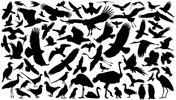 Birds silhouettes Stock Illustration