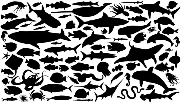 Sea animals silhouettes — Stock Illustration Sea animals silhouettes Stock Vector