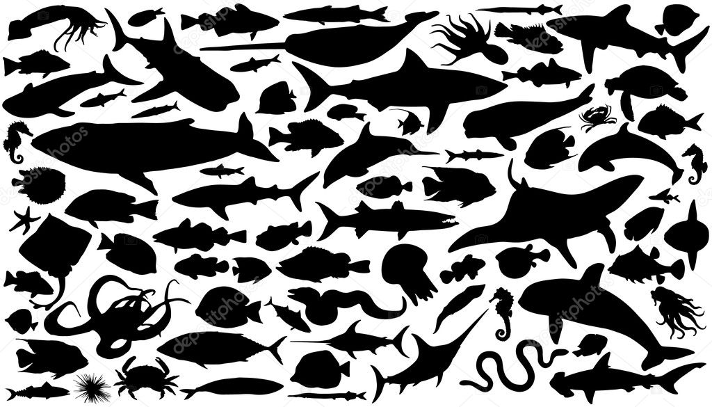 Sea animals silhouettes on the white background