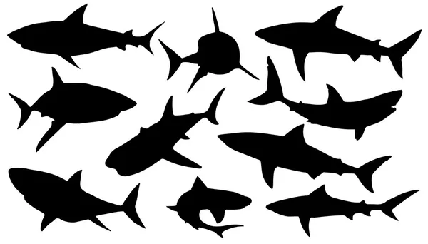 鲨鱼剪影 — 图库矢量图片