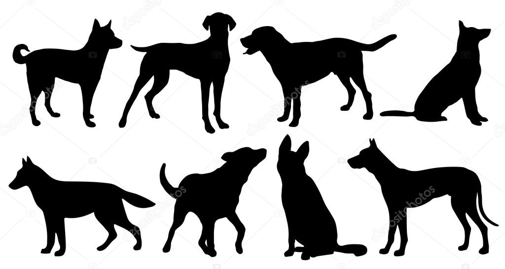 Dog silhouettes on the white background