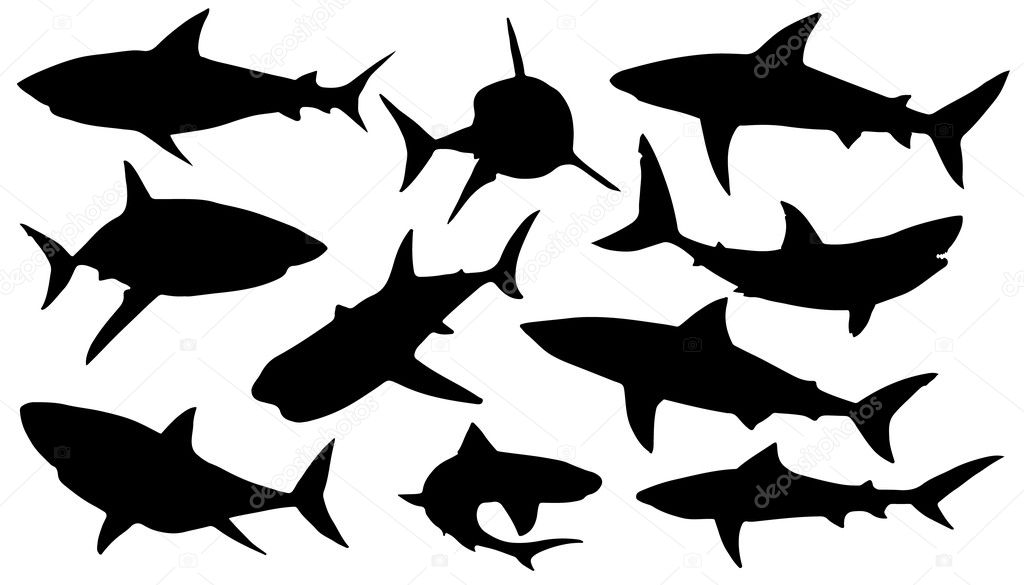 shark silhouettes