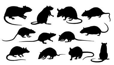 rat silhouettes clipart