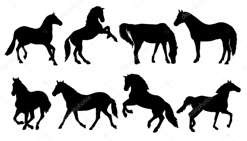 Horse silhouettes on the white background