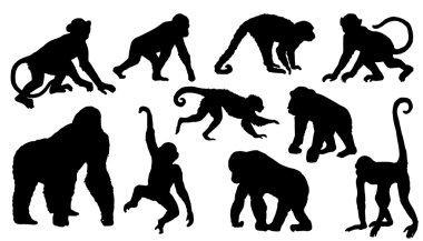 monkey silhouettes clipart