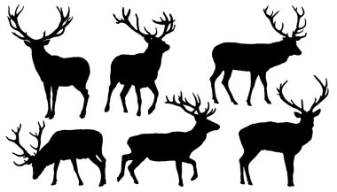 geyik silhouettes