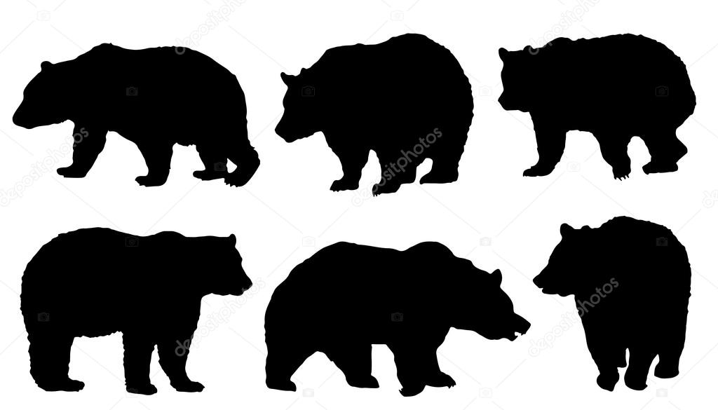 Bear silhouettes on the white background