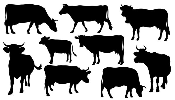 cow silhouettes