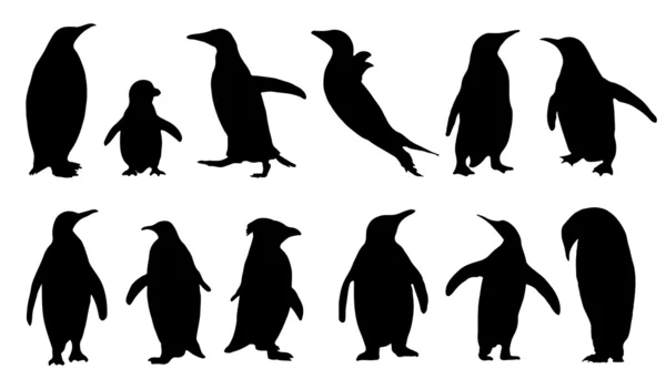 Silhouettes de pingouin — Image vectorielle