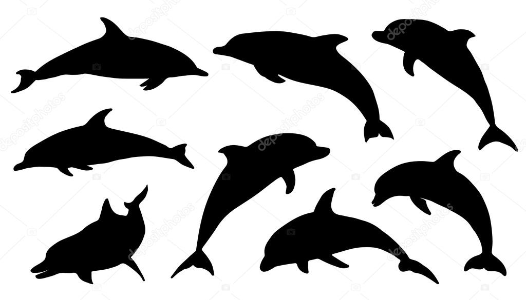 Dolphin silhouettes on the white background